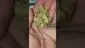 Video Thumbnail: Mayor Green