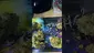 Video Thumbnail: Herb Gaming