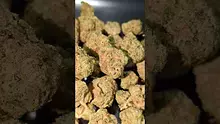PrescribedBouquet Video Thumbnail