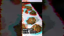 UKTHC Video Thumbnail
