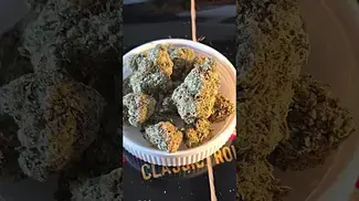 4CLABS ALASKAN THUNDER 29% THC.