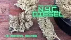 Tyson 2.0 ND T26 - N.Y.C. Diesel - UK Medical Review - CALLING OUT MIKE TYSON