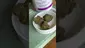Video Thumbnail:  Pesky Mesky Meds