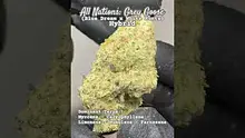 Review Budd Video Thumbnail