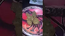 Smokey Mo Video Thumbnail