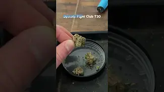 Upstate Fight Club T30 strain review 30% #ukmedicalcannabis #medicalcannabis