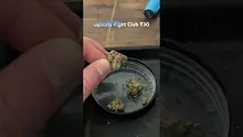 LoudConnoisseur Video Thumbnail