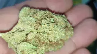 Nugs Of Platinum Garlic