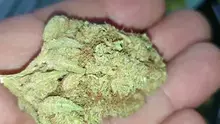 Mayor Green Video Thumbnail