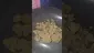 Video Thumbnail: Eazypax420