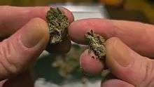 Punkz Emporium Video Thumbnail