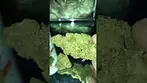 LA Confidential aurora pedanios uk medical cannabis