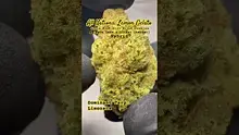 Review Budd Video Thumbnail