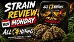 Today on strain review Monday we have, All Nations canna / Tropic thunder.