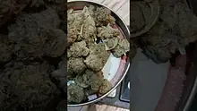 Medical 420 Video Thumbnail