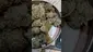 Video Thumbnail: Medical 420
