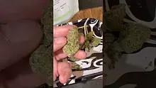 MarmitesMedicalUK Video Thumbnail