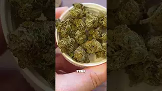 Peace Naturals GMO Cookies | 30% THC | UK Medical Cannabis