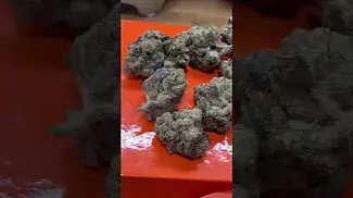 Superseed Cake City