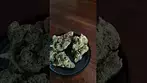 Tyson 2.0 Tiger Milk ukmedicalcannabis painrelief cannabisheals flower  cannabiscommunity