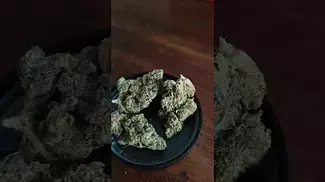 Tyson 2.0 Tiger Milk ukmedicalcannabis painrelief cannabisheals flower  cannabiscommunity
