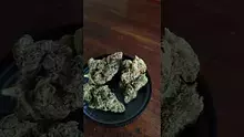 420Medical Video Thumbnail