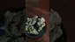 Video Thumbnail: 420Medical