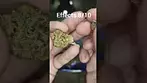 Peace Naturals - Atomic Sour Grapefruit | UK Medical #medicalcannabis #cannabiscommunity