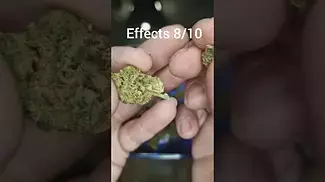 Peace Naturals - Atomic Sour Grapefruit | UK Medical #medicalcannabis #cannabiscommunity