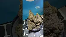 Doc Green Bud Video Thumbnail