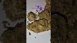 Aurora Pedanios (24/1%) - LA Confidential (UK Medical Cannabis Prescription)