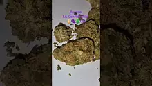 ScottiDunCanna Video Thumbnail