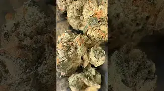 Kasa Verde |Fight Club| UK Medical Flower #medicalcannabis #ukmedicalcannabis