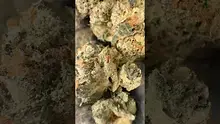 Vybzz 420 Video Thumbnail