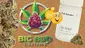 Video Thumbnail: Big Bud Reviews