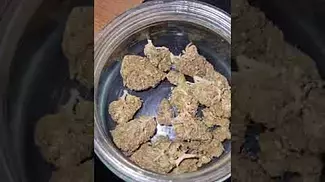 MCCN Lemon Sour Diesel 20%
