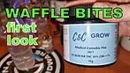 WAFFLE BITES | Habitat, Cake & Caviar, Blossom Genetics, Grow & IPS | FIRST LOOK