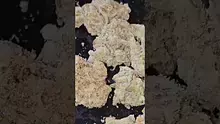 AzztecMedia Video Thumbnail