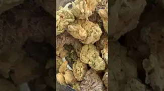 Greyscales Gelato Dream