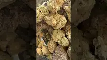 The Green Prescription Video Thumbnail