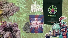 Big Bud Reviews Video Thumbnail