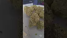 Eazypax420 Video Thumbnail
