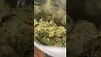Tilray T22 (Master Kush)