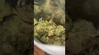 Tilray T22 (Master Kush)