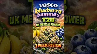 Vasco | Blueberry Bananas | T28 | UK Medical Flower | 1 Week Review