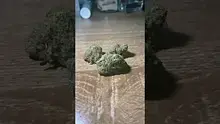 Herb Gaming Video Thumbnail