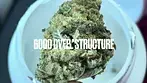 Hexacan® Avant CC T18 Cookies Cream Medical - Strain reviews #37