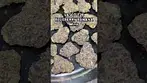 VASCO T28 BLUEBERRY BANANA Minis weight