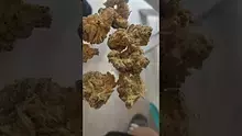 Facts 32 Video Thumbnail