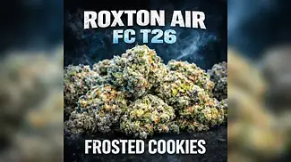UK MEDICAL FLOWER | ROXTON AIR | FROSTED COOKIES | T26 #ukmedicalcannabis #420community #420 #uk